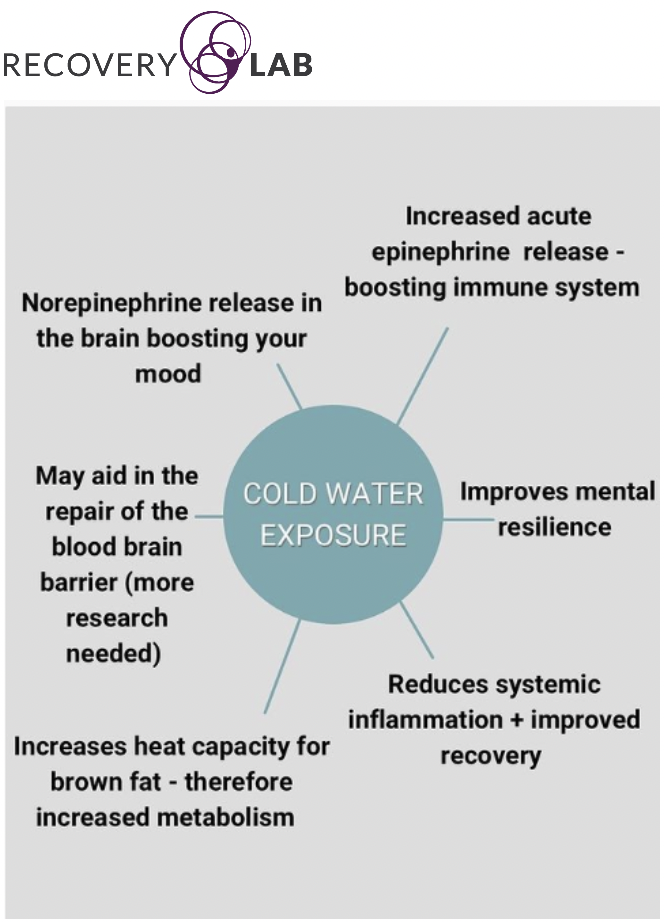 6 benefits of cold water exposure, including mood, immune function, mental health, recovery and metabolism
